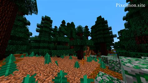 Mega Spruce Taiga biome – Pixelmon Reforged Wiki