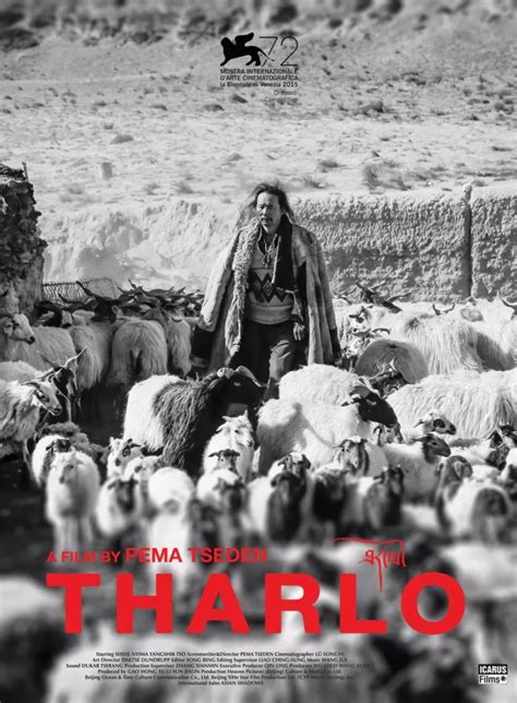 Tibetan Film Director Pema Tseden: “Jinpa” is Different From All My ...