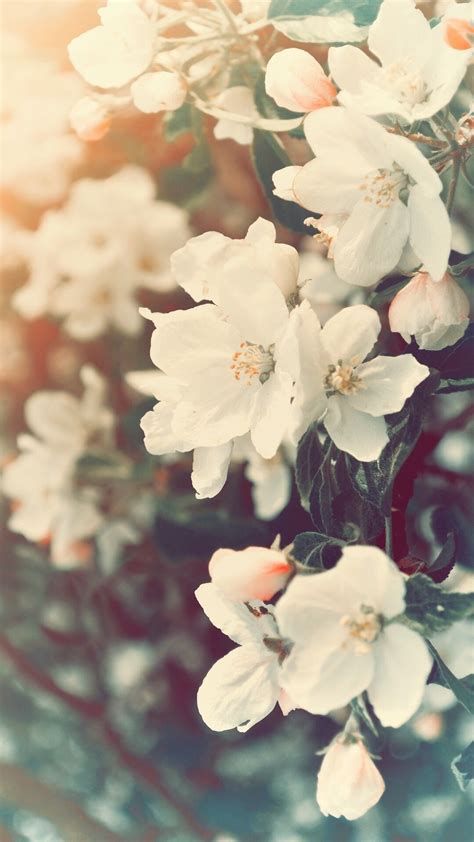 Free download Aesthetic Spring Laptop Wallpapers Top Aesthetic Spring [1366x768] for your ...