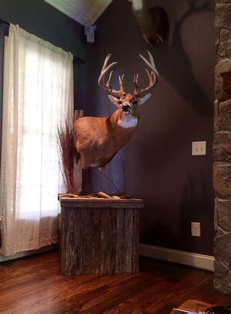 10+ Deer Mount Decorating Ideas – HOMYRACKS