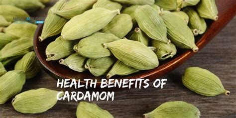 All you need to know about Amazing Health Benefits of Cardamom