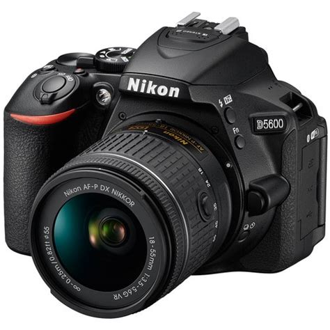 Nikon D5600 Vs D7500 - BuyDig.com Blog