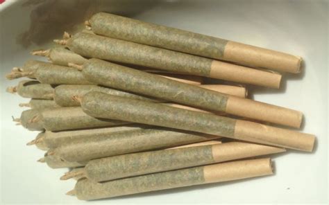 The Benefits Of Hemp Rolling Papers - Are They Better Than Tree Rolling Papers? - Great Hemp USA