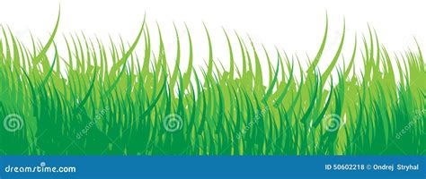 Seamless Grass Background Green Stock Photo - Image of design, ecology: 50602218