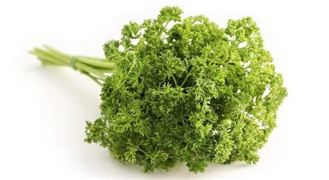 What is Parsley in hindi | जानिए पार्सले क्या है?