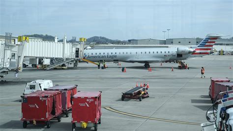 American Airlines flight diverted after possible bird strike