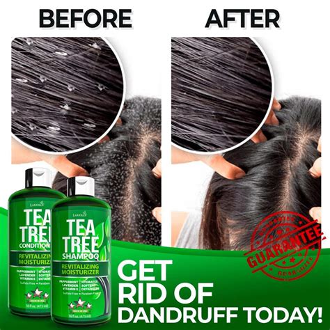 Tea Tree Shampoo and Conditioner Set - with 100% Australian Tea Tree ...