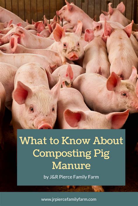 Can You Compost Pig Manure? — J&R Pierce Family Farm: Official Blog