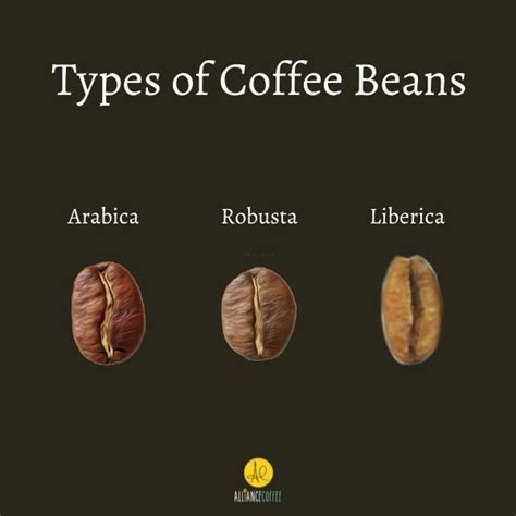 26+ different Types of Coffee, explained - Your Ultimate Guide to ...