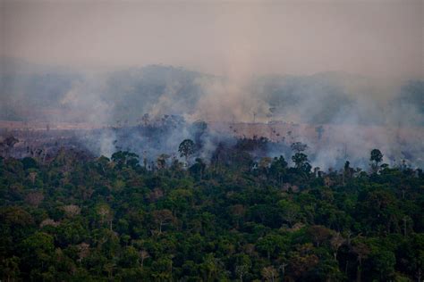 Why rainforest wildfires affect us all