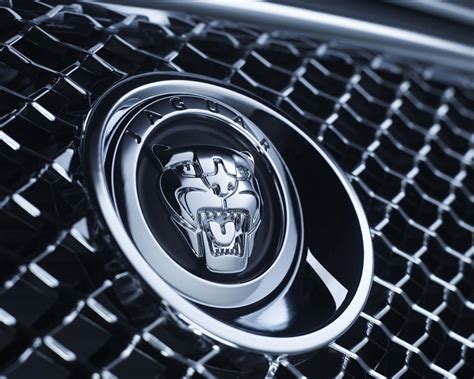 Jaguar Logo Car High Resolution In HD Wallpaper Picture And Image – Wallsev.com – Download Free ...