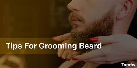 Beard Grooming Tips and How To Maintain a Beard? Beard Tips