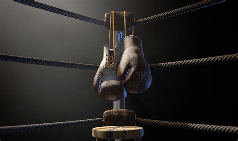 Lv Boxing Gloves Painting | IUCN Water