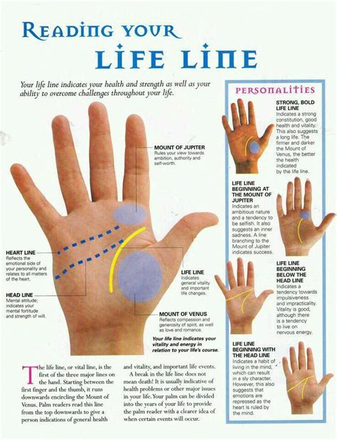 Palm reading #100%NumerologyLifePathGifts | Palmistry reading, Palm reading, Palmistry