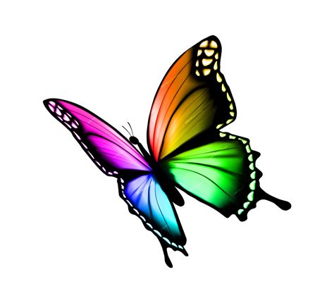 Rainbow Butterfly Png