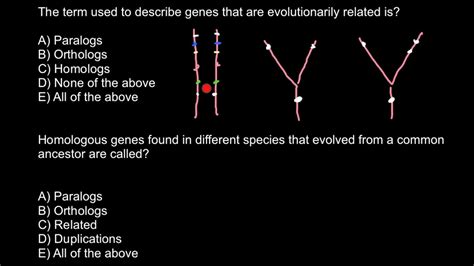 Definition of: Paralog, Ortholog, Homolog - YouTube