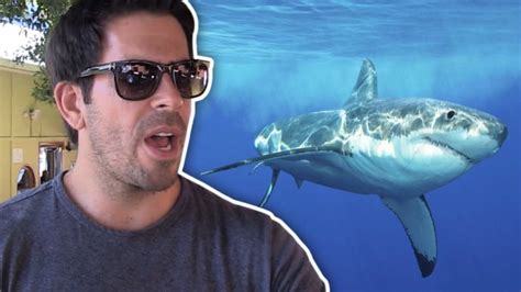 Shark Week's Eli Roth -- Key to Preventing Shark Attacks ... Sharknado ...