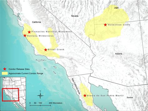 CUrrent Range - Range of the Condor