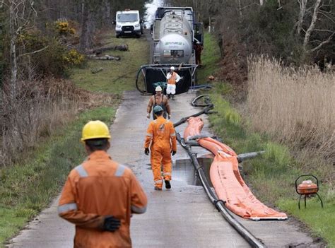 ‘Oil-soaked birds’ spotted after Poole leak threatens wildlife | UK ...