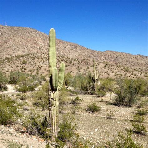 South Mountain Hiking Trails - Ahwatukee Foothills - Phoenix, AZ