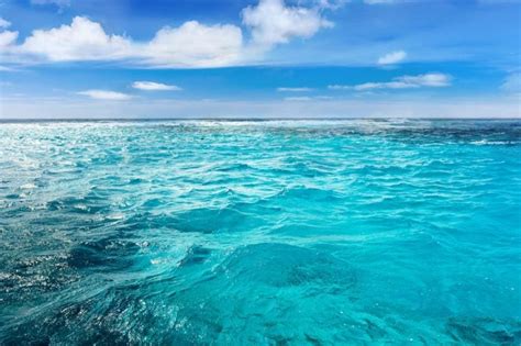 Amazing Trivia Facts About Earth's Oceans | Reader's Digest