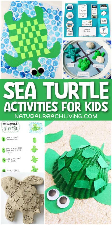 25+ Sea Turtle Crafts and Activities - Natural Beach Living