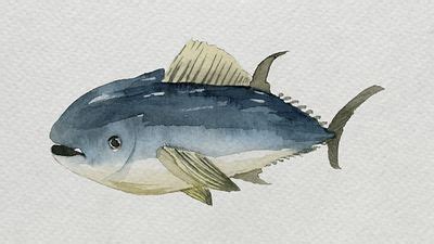 Watercolor painted tuna white canvas | Premium PSD - rawpixel