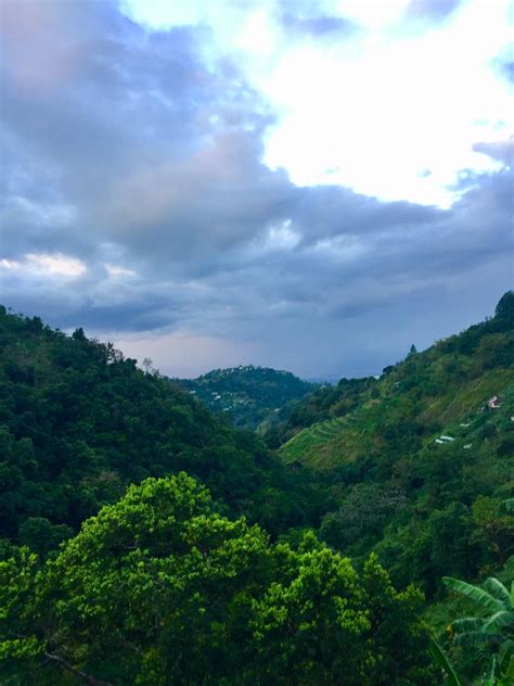 Sunrise View from Blue Mountain : r/Jamaica