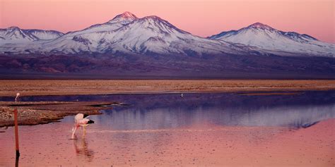 Eco Camp Patagonia | Contours Travel | Tailor-made tours