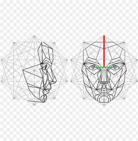 Golden Ratio Mask Proportion Face Mask Transparent Background Png ...