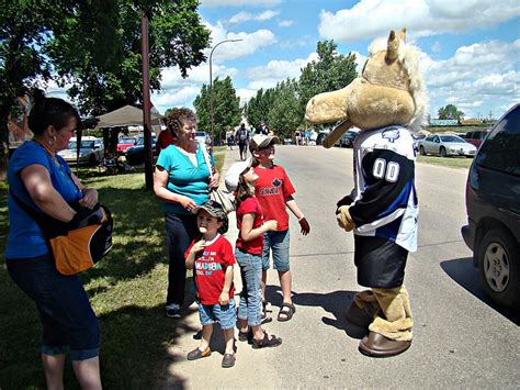 Charlie Horse At Frontier Days - Swift Current Broncos