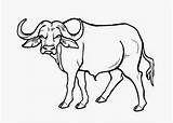 Carabao Coloring Pages At GetColoringscom  Free Printable Colorings sketch template