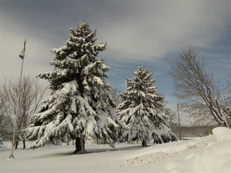 A beautiful winter landscape 1421403 Stock Photo at Vecteezy