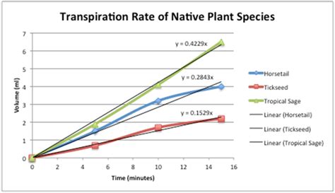 👍 How to measure transpiration. GCSE Biology (26). 2019-01-04