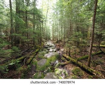 White Mountains National Forest Stock Photo 740078974 | Shutterstock