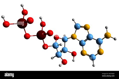 3D image of Adenosine diphosphate skeletal formula - molecular chemical ...