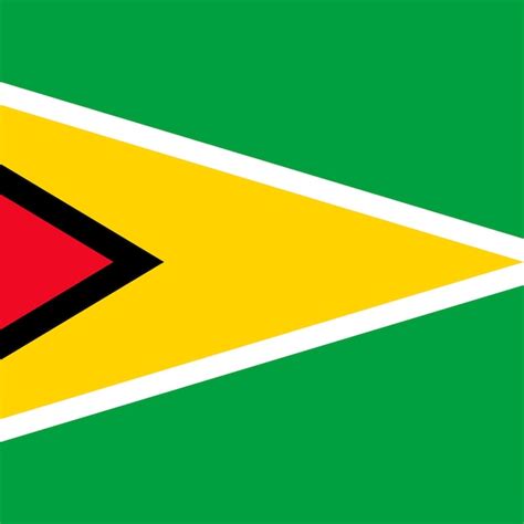 Premium Vector | Guyana flag official colors Vector illustration