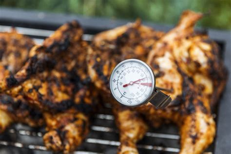 6 Best Grill Thermometers for Barbecuing - Reviews and Buying Guide