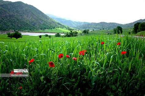 IRNA English - Beauty of nature in southwest Iran