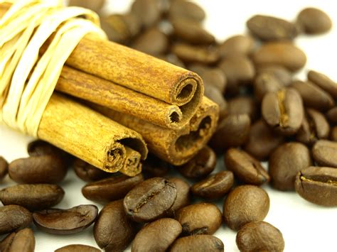 Free photo: Cinnamon and coffee beans - Food, Dried, Drink - Free ...