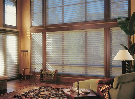 Silhouette® Blinds For Windows Living Rooms, House Blinds, Two Story Windows, Huge Windows ...