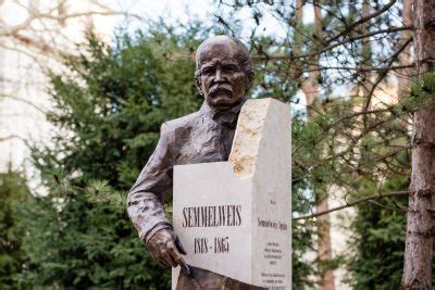 Semmelweis Statue gifted to the Medical University of Vienna – Semmelweis University