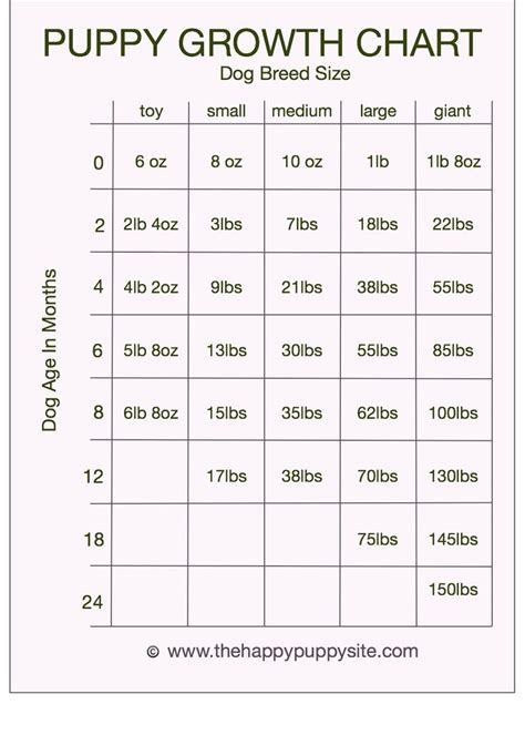 Puppy Development Stages with Growth Charts and Week by Week Guide | Week by week, We and Spaniels