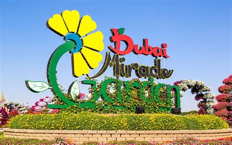 Dubai Miracle Garden 2022: Tickets, Location, Timings & More *Updated ...