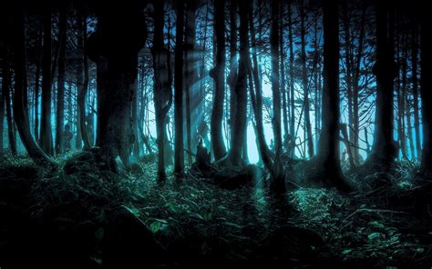 Dark Forest Wallpaper Widescreen