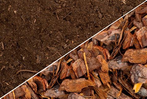 Compost vs. Mulch: What's the Difference?