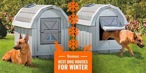 10 Best Dog Houses for Winter — Reviews, Insulation, Tips & DIY