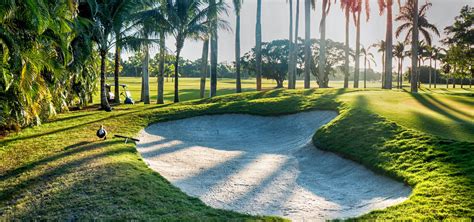 Golf Courses in Marco Island & Naples, FL | Must Do Visitor Guides