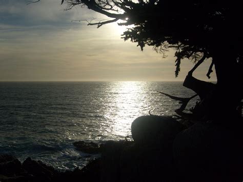 Sunset in Monterey Bay CA | Smithsonian Photo Contest | Smithsonian Magazine