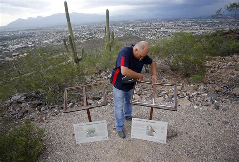 Signs on Tumamoc Hill appeal to our protective instincts | Local news | tucson.com